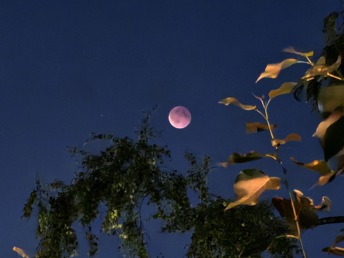 Лунное затмение 7 сентября 2025 // Из личного архива