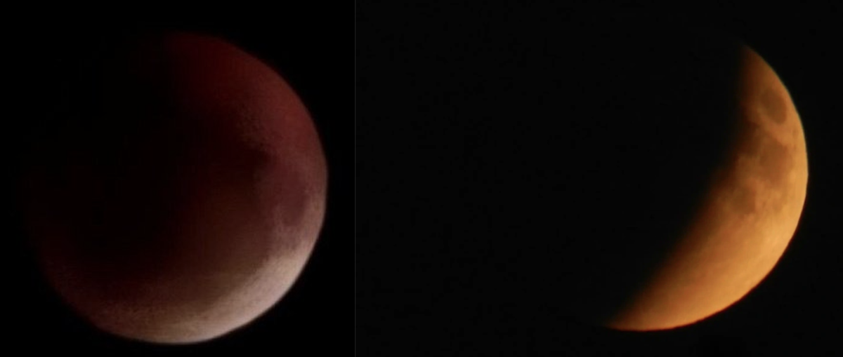 фото автора коллаж