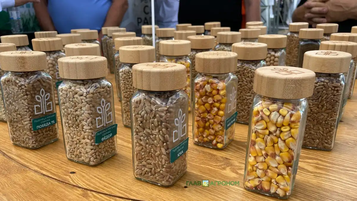 Фото:© Владимир Исаенко / Glavagronom.ruЕЭК приняла подходы к унификации методов и схем производства семян сельхозкультур и меры по устойчивому развитию сахарной отрасли