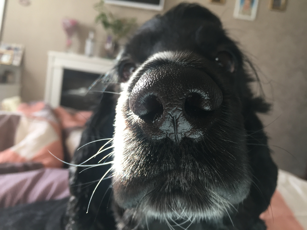 Моё первое утреннее впечатление