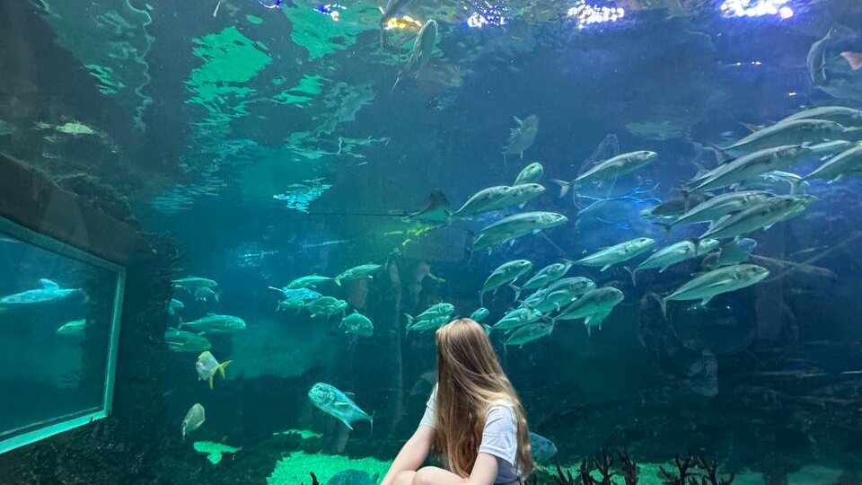 Как удивить родителей в Москве: проверенные идеи для прогулок