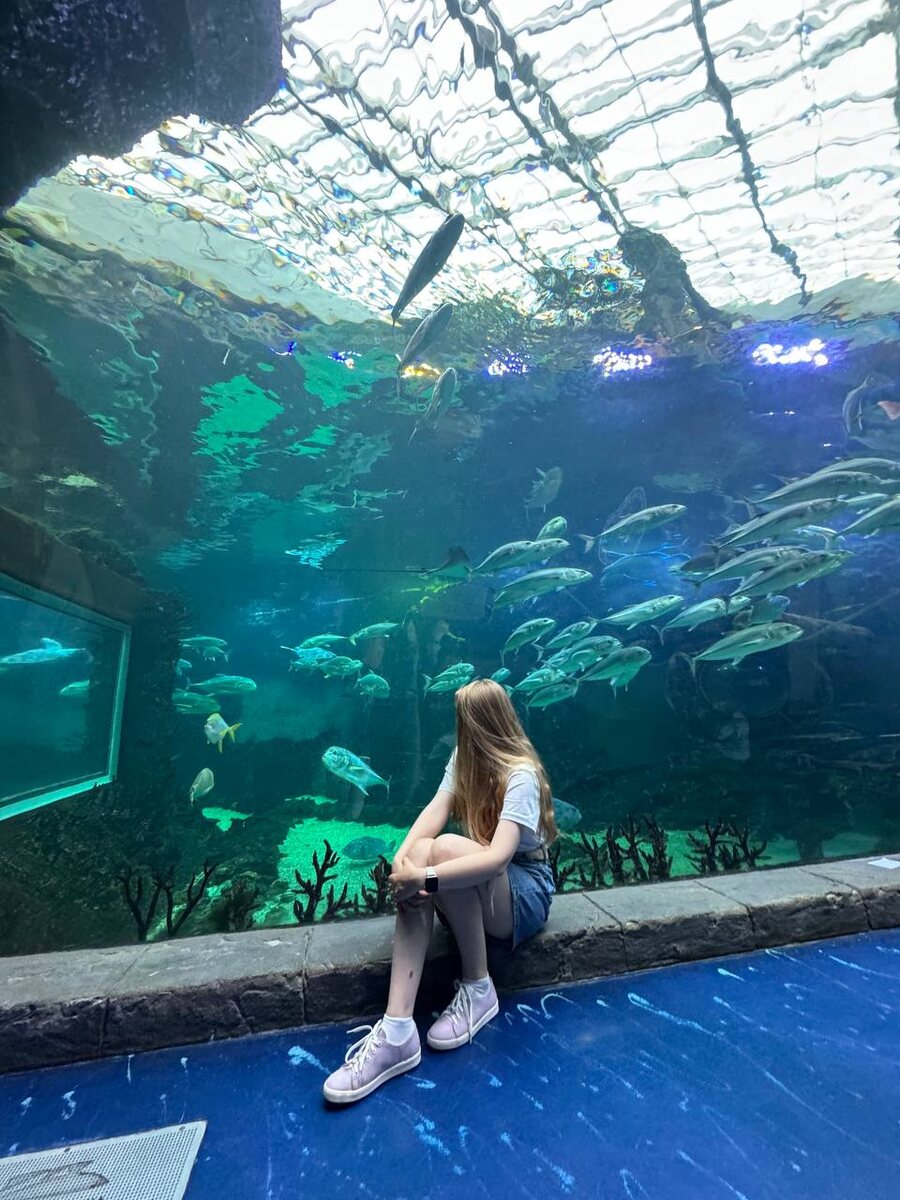 Была поймана за наблюдением за рыбами в большом аквариуме Океанариума в Крокус-Сити