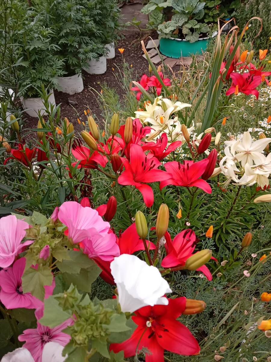 Краски осени