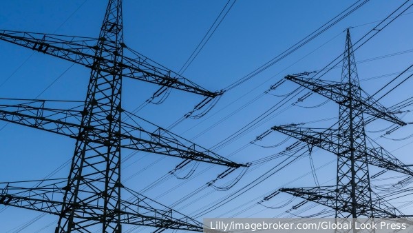     Фото: Lilly/imagebroker.com/Global Look Press   
 Текст: Антон Антонов