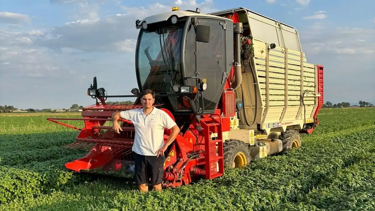 Фото:CarraraМолодой фермер из Италии Филиппо Карраре получил негласное звание «короля базилика», хотя ему всего 29 лет