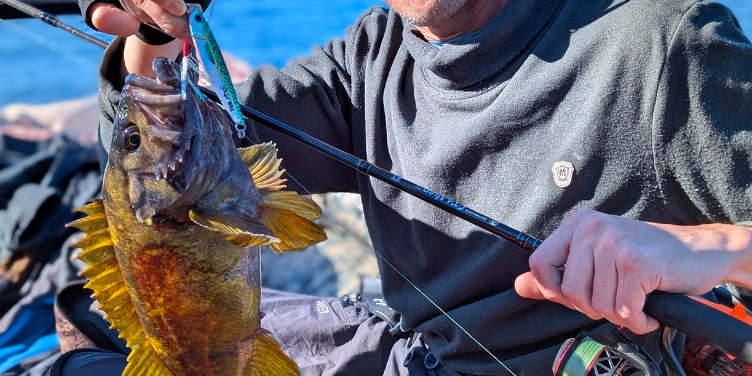 ЕЩЁ ОДИН ВЫХОДНОЙ КОТОРЫЙ В СЧЁТ ЖИЗНИ НЕ ИДЁТ.