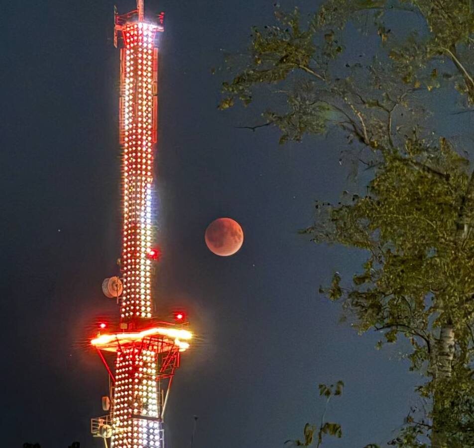    ФОТО: t.me/v_kurse_kostroma