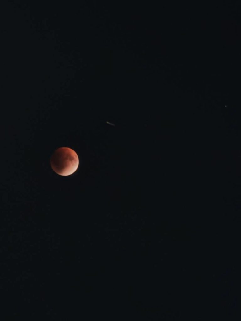    ФОТО: t.me/v_kurse_kostroma