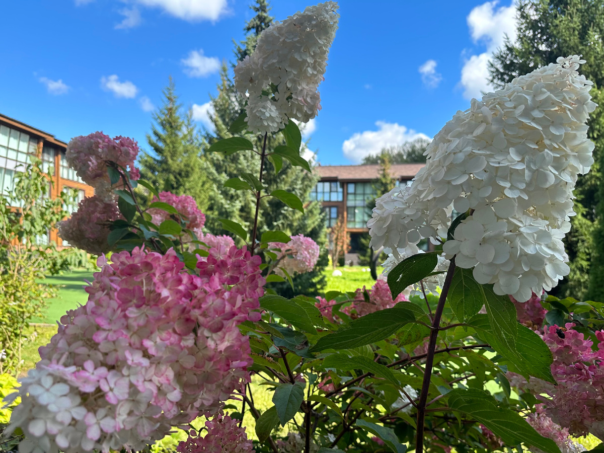 Мы же наоборот, решили немного сменить обстановку уже в начале сентября.