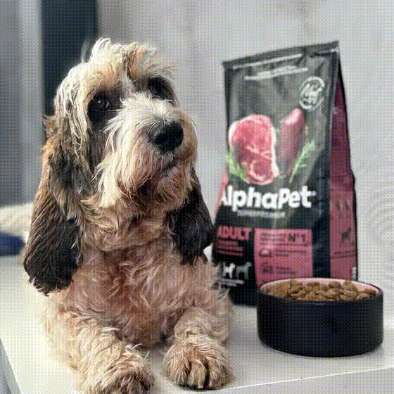 AlphaPet Superpremium / Сухой полнорационный корм с говядиной и потрошками для взрослых собак средних пород / Изображение: AlphaPet