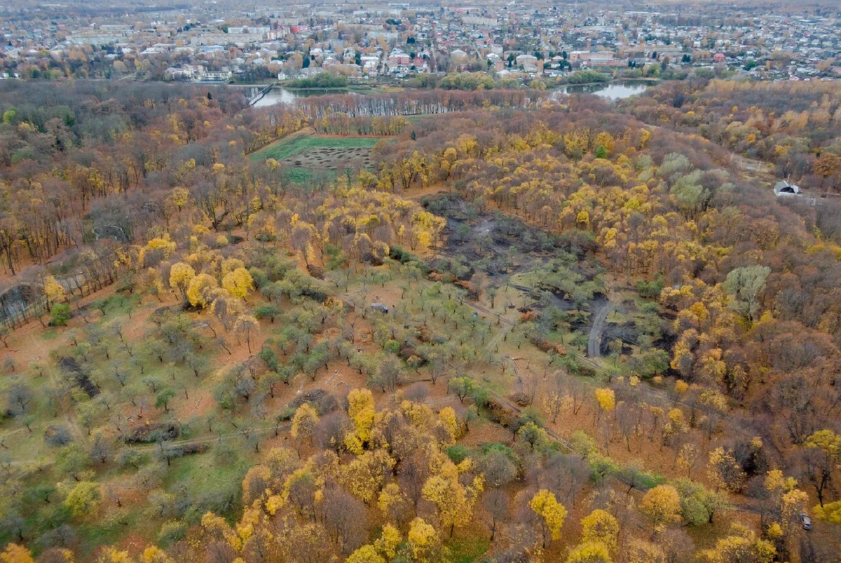 Фото Вадима Разумова 2020 год