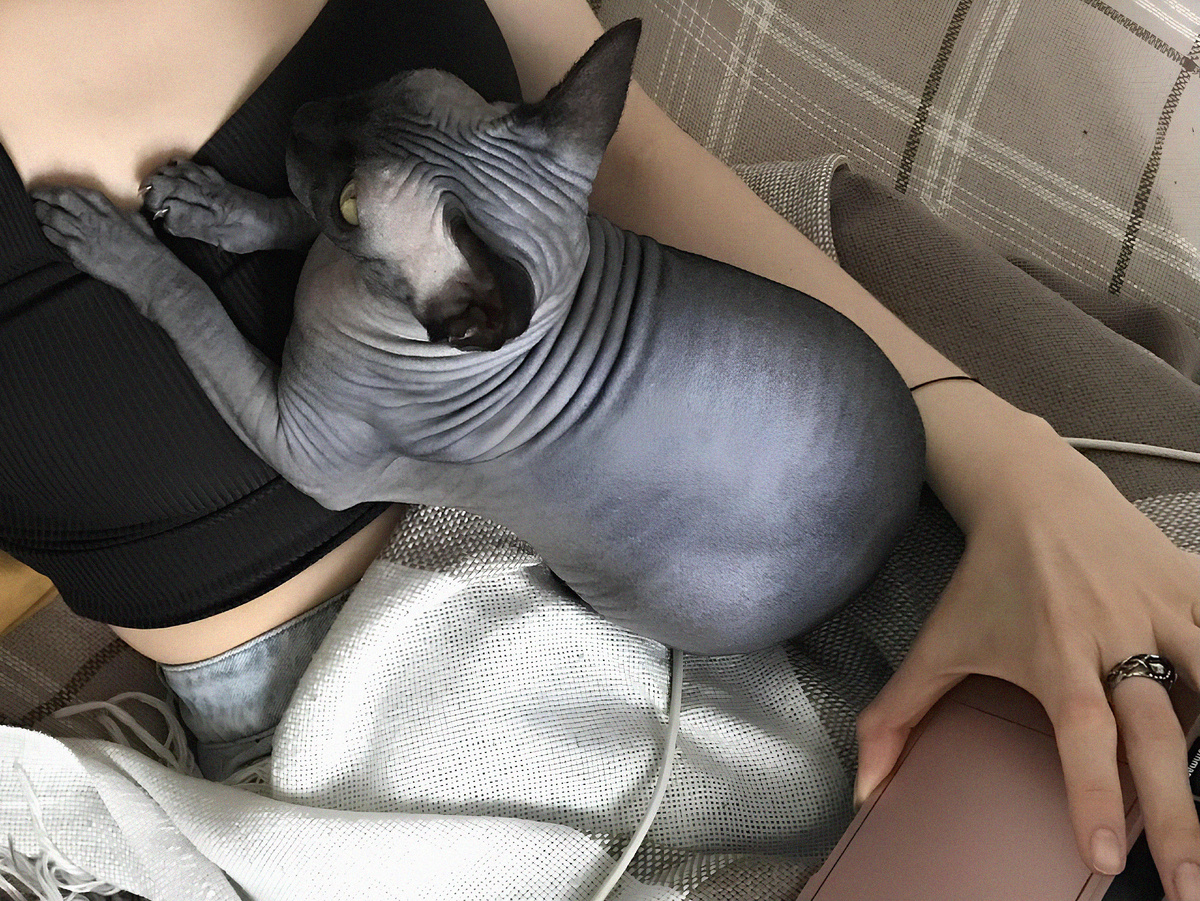 Котя давит своей 3,5 килограммовой гиперсоциальностью :)