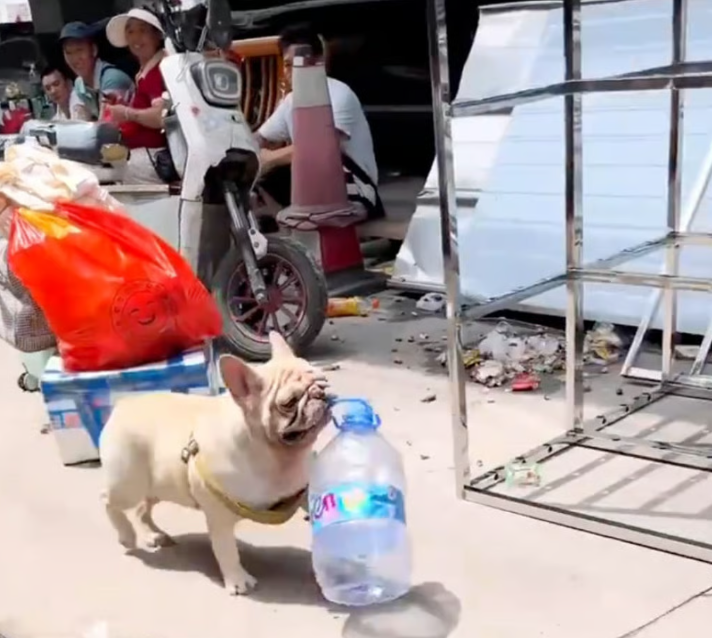 Я даже не знаю, где у нас пластик принимают... нигде.