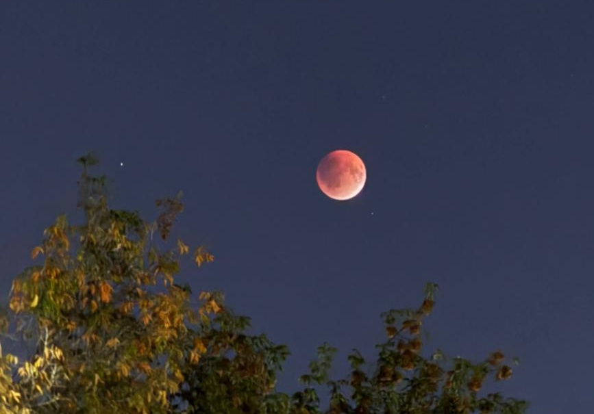 Лунное затмение. Волшебство случилось вчера. Фото Сунгатуллиной Э.