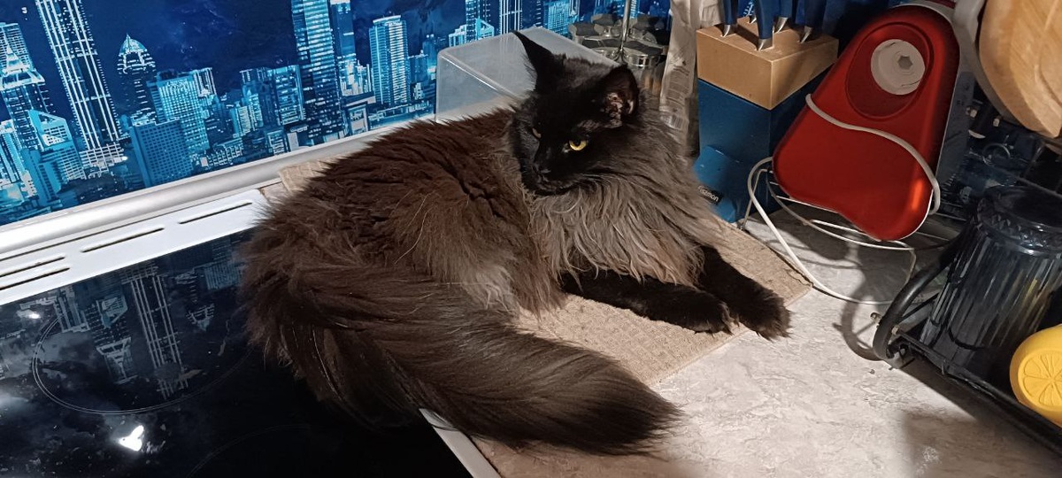 Это Бозя на чистовом