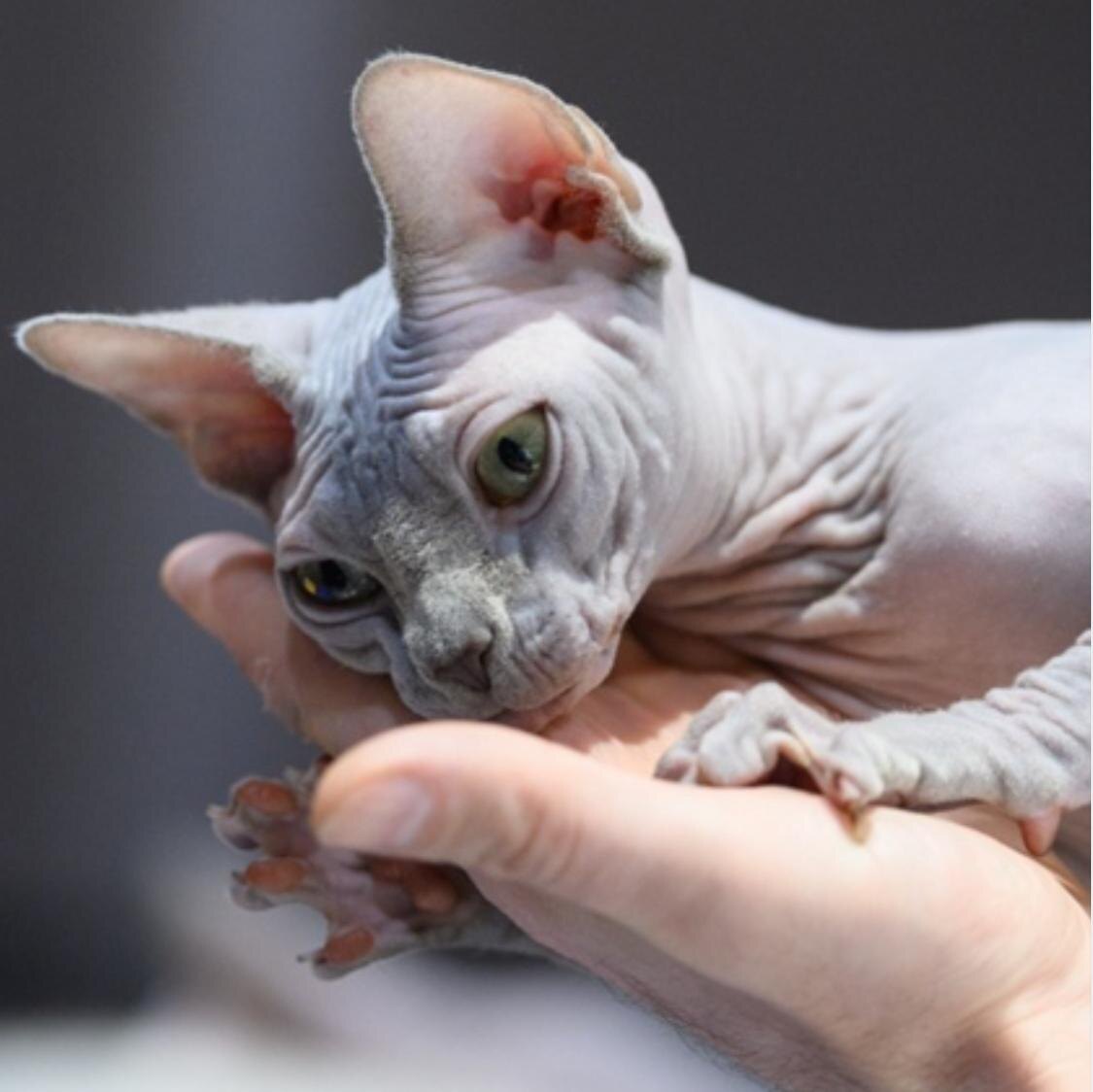 Фото: из архива Натальи Мурзиной 