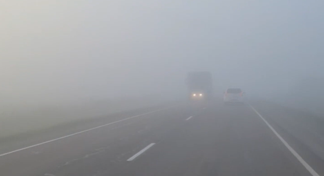    Источник фото: ussur_mikh_kray