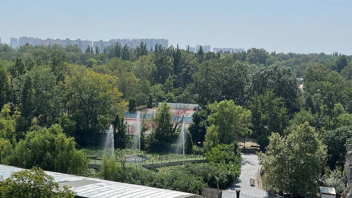    Фото: телеканал «Краснодар»