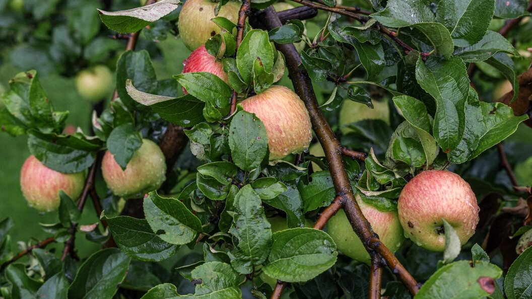    Andrey Titov/Business Online/Globallookpress