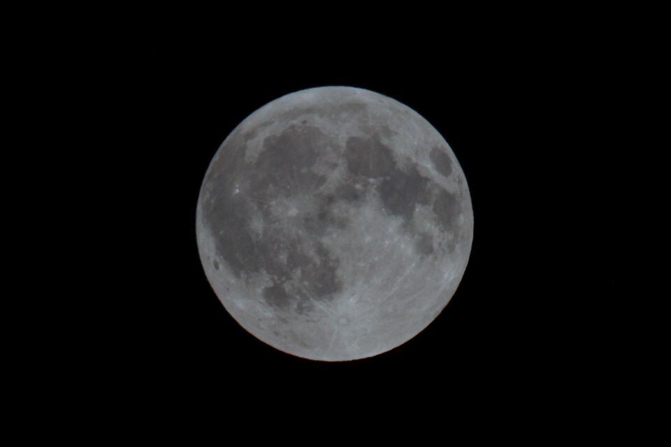    Кровавое лунное затмение над Барнаулом. Источник: Олег Укладов