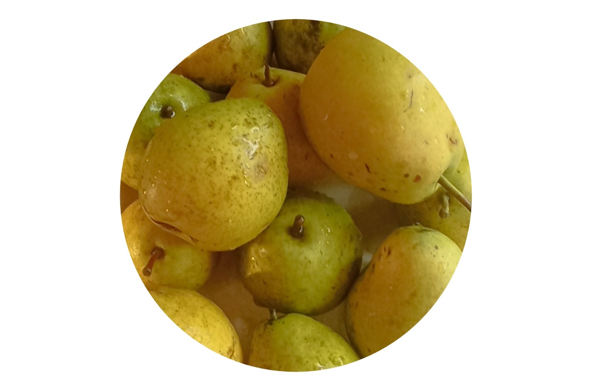 Коллаж автора. 