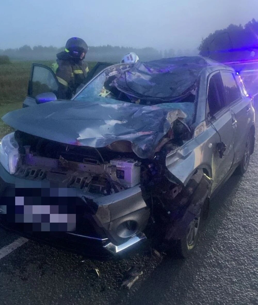    ., © пресс-служба томского УГИБДД