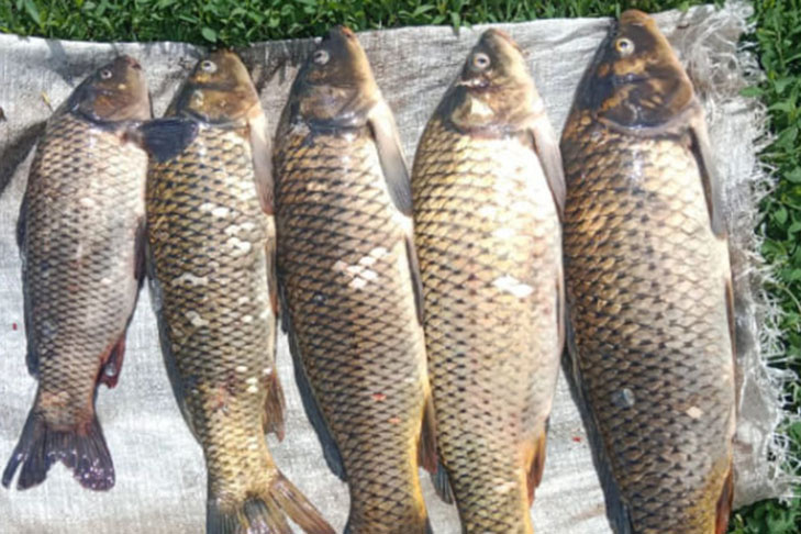    Фото «Сельская правда»