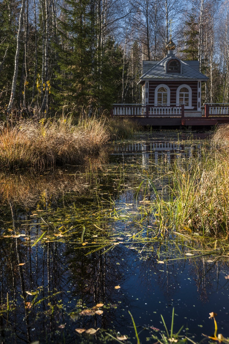 фото:Konstantin Kokoshkin/Russian Look//Global Look Press