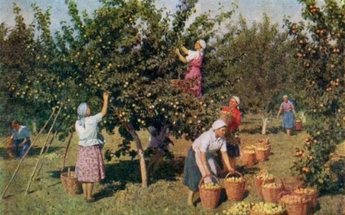 Фото из интернета.