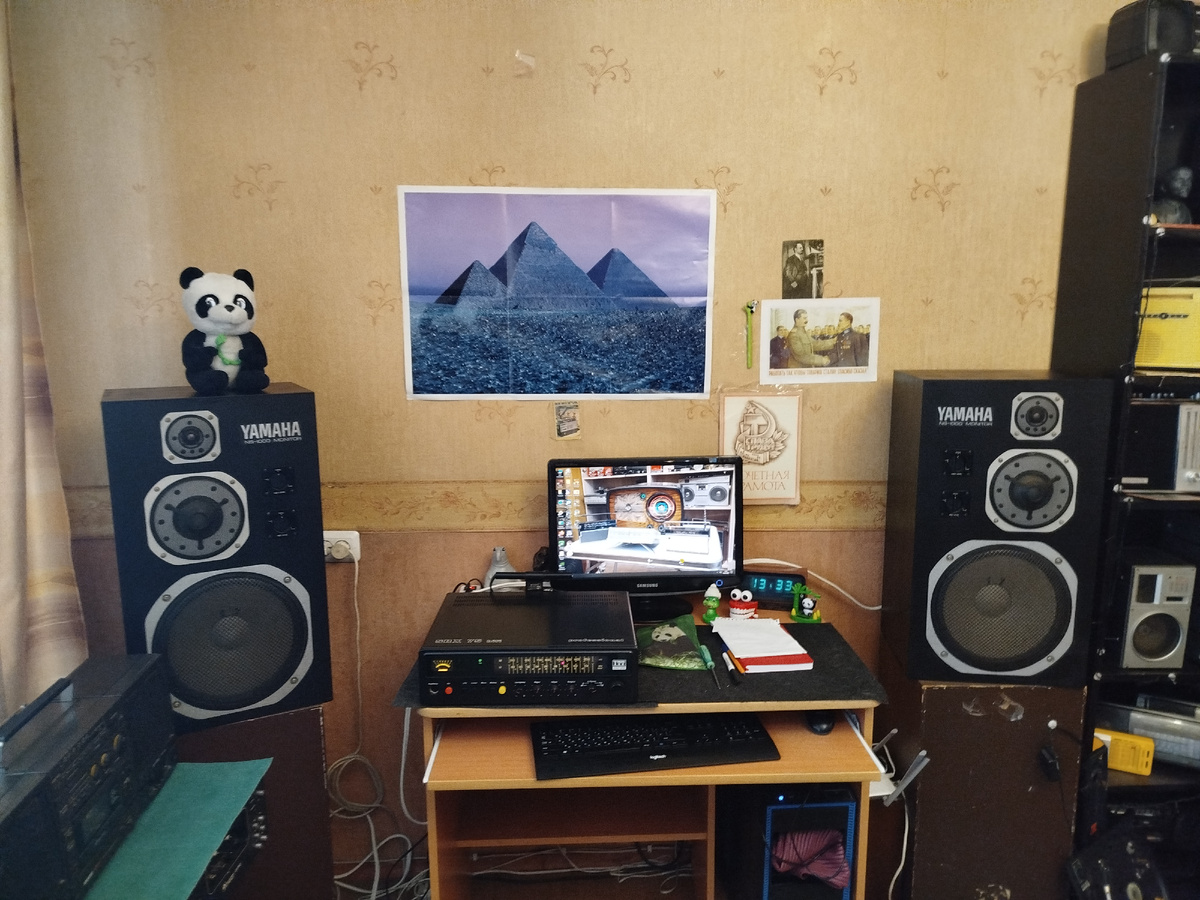 ns-1000monitor, цена 118к