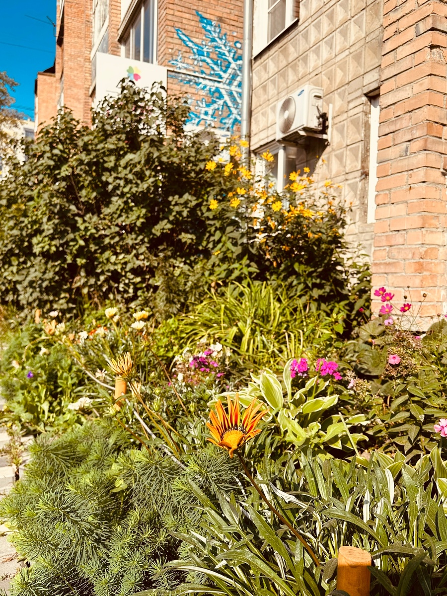  Пока еще яркие краски...