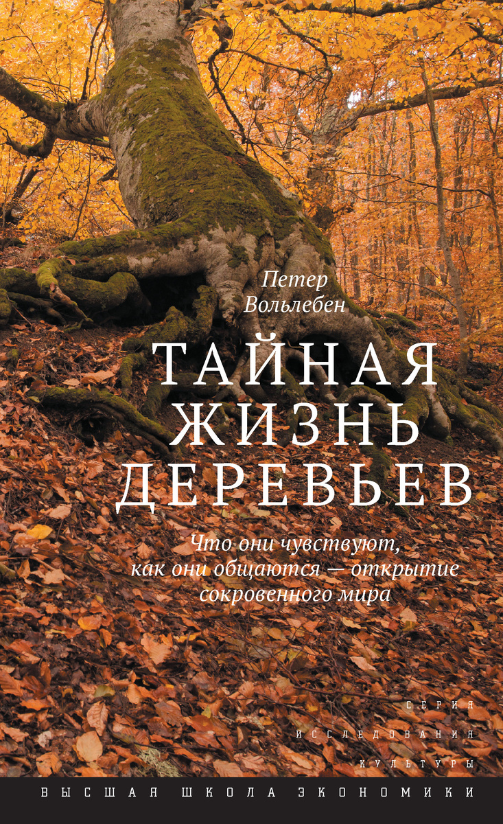 Из электронной книги