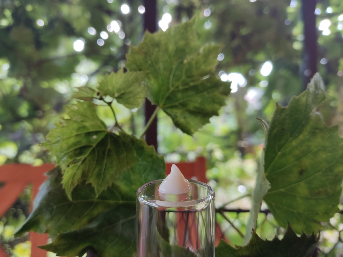 Лёгкая текстура, мгновенное впитывание и никакого жирного блеска - визитная карточка современных кремов 