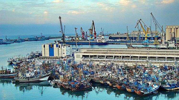     Овощи морем: от Касабланки до Антверпена