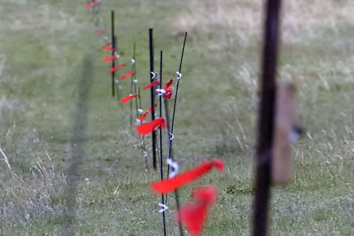 Стоп-кадр видео РТС
