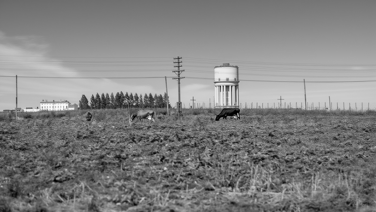Водонапорная башня на ул. Ватутина, 29/1. Новосибирск. Историческая фотография.