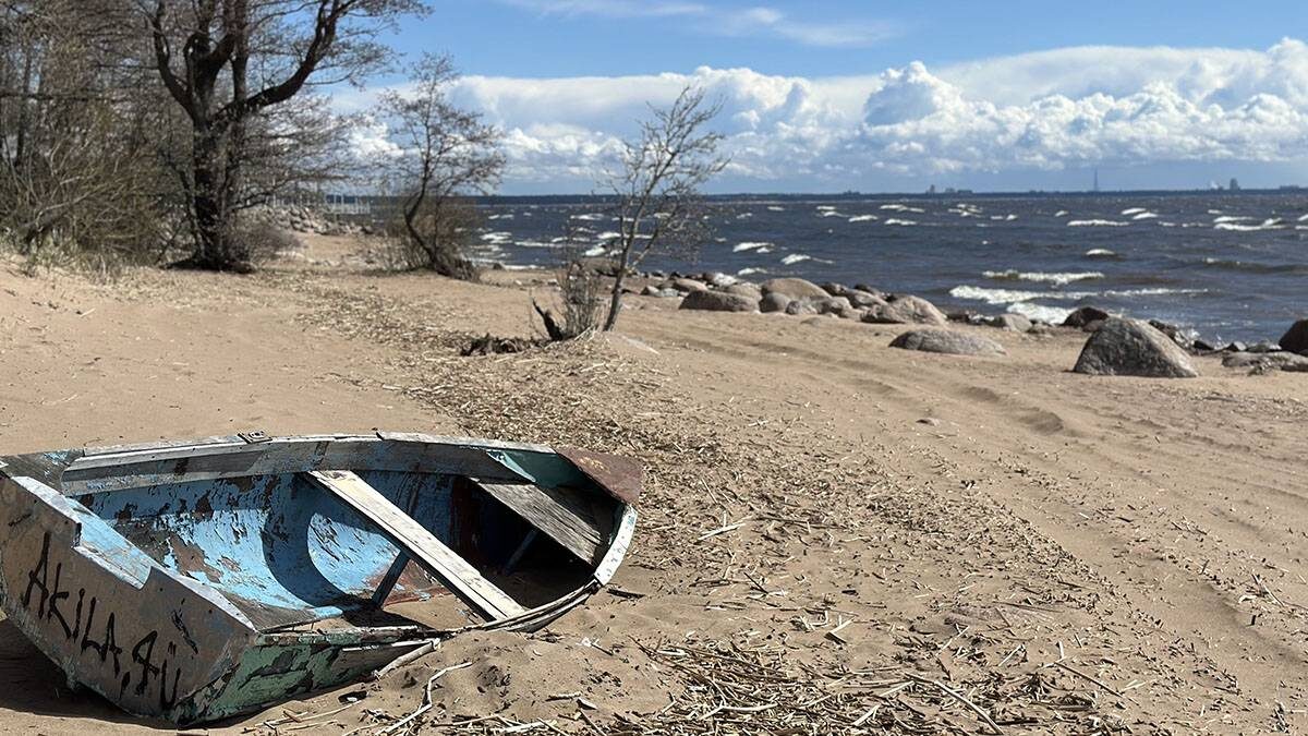    Фото: Вечерняя Москва