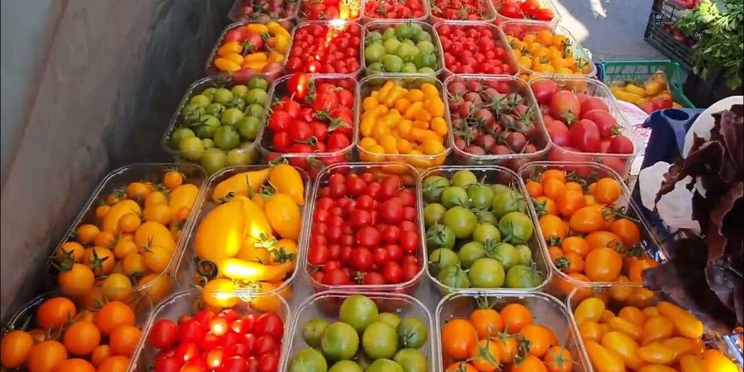 Ярмарки выходного дня в Ейске: Праздник вкуса и колорита на берегу Азовского моря