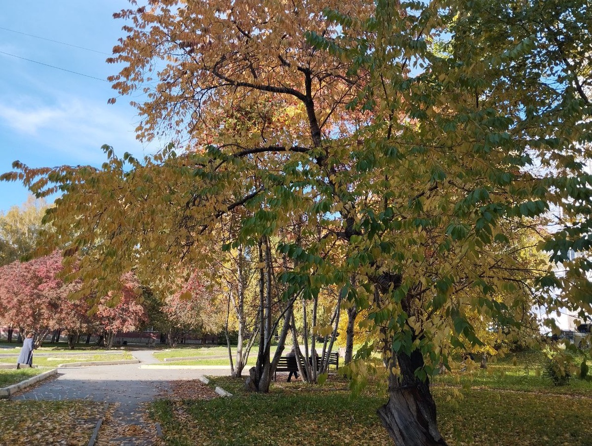 Воздух прогреется до +19 градусов.  Фото: Фото: ФедералПресс / Екатерина Ломакина