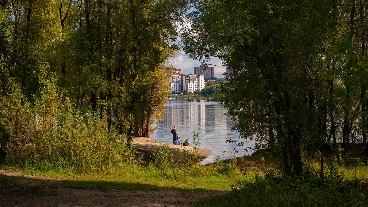Лесной массив рядом с парком "Арена". Новосибирск. Фотография - www.openmainphoto.ru