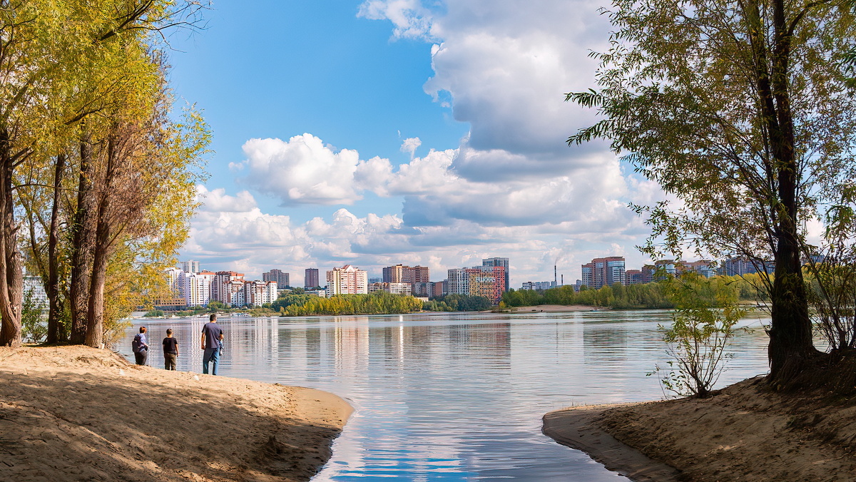 Лесной массив рядом с парком "Арена". Новосибирск. Фотография - www.openmainphoto.ru