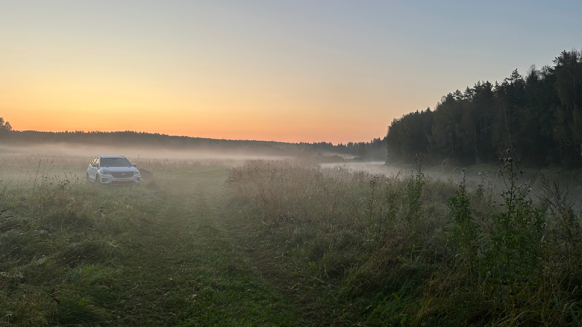 Вот она красавица 