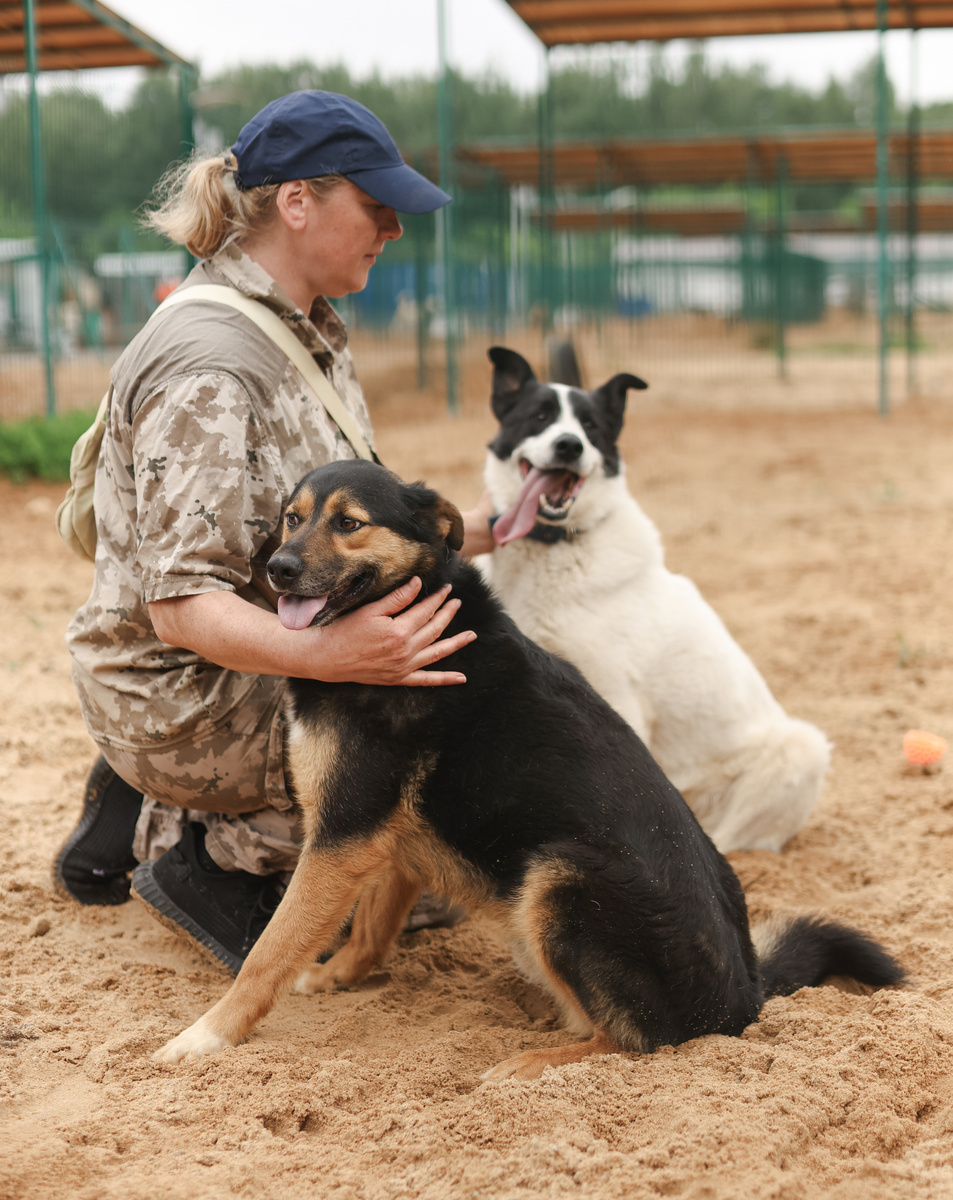 Вот будет чудо, если нас вдвоем заберут!