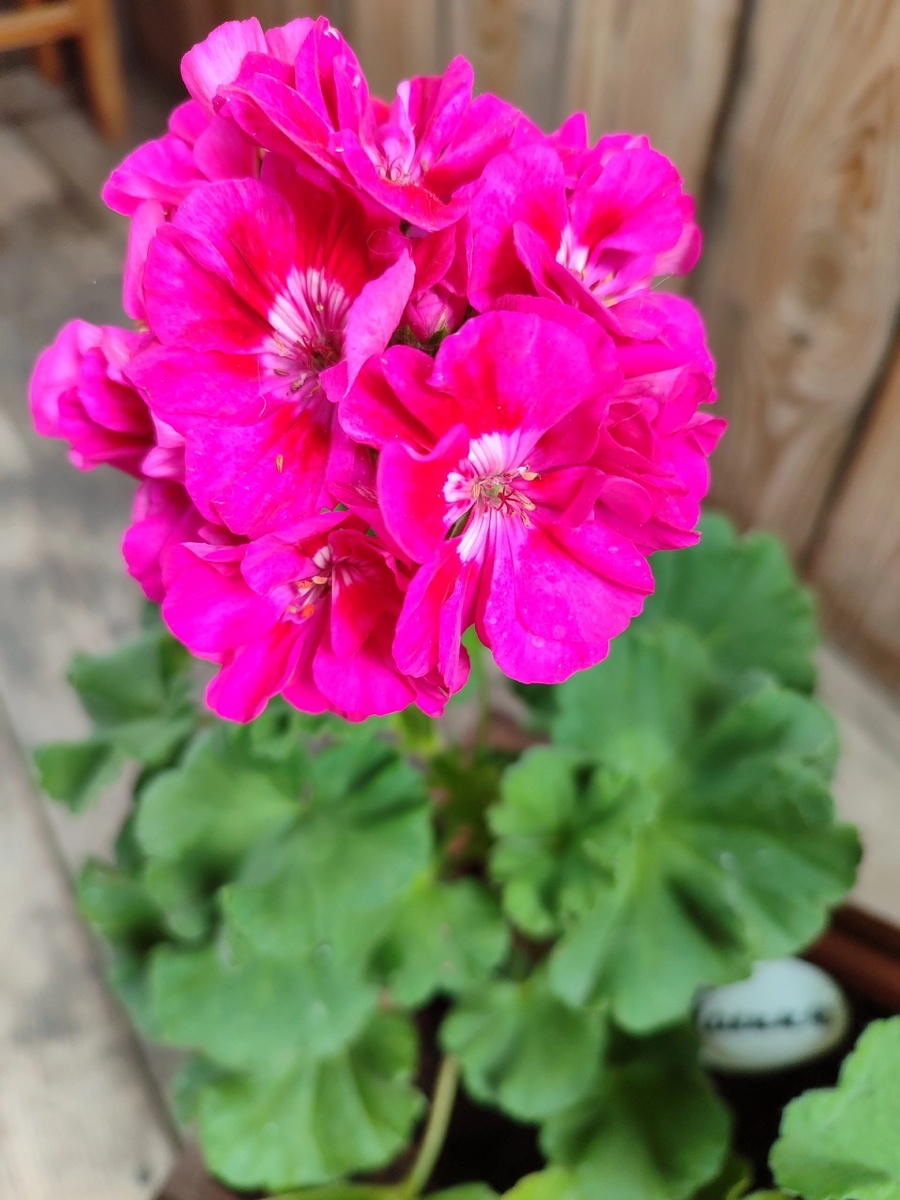 Как она выглядит эта скукотища