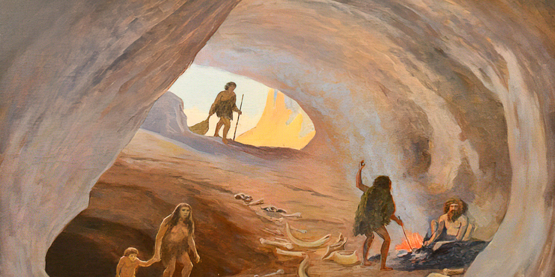 Человек: инструкция по выживанию и доминированию