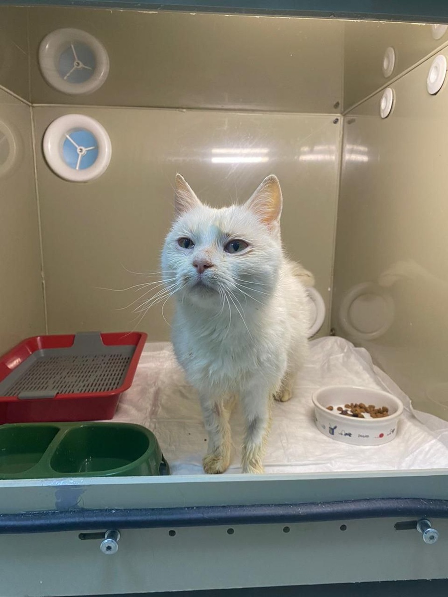 В стационаре