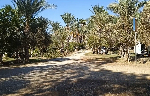 Центральная аллея Парадайза