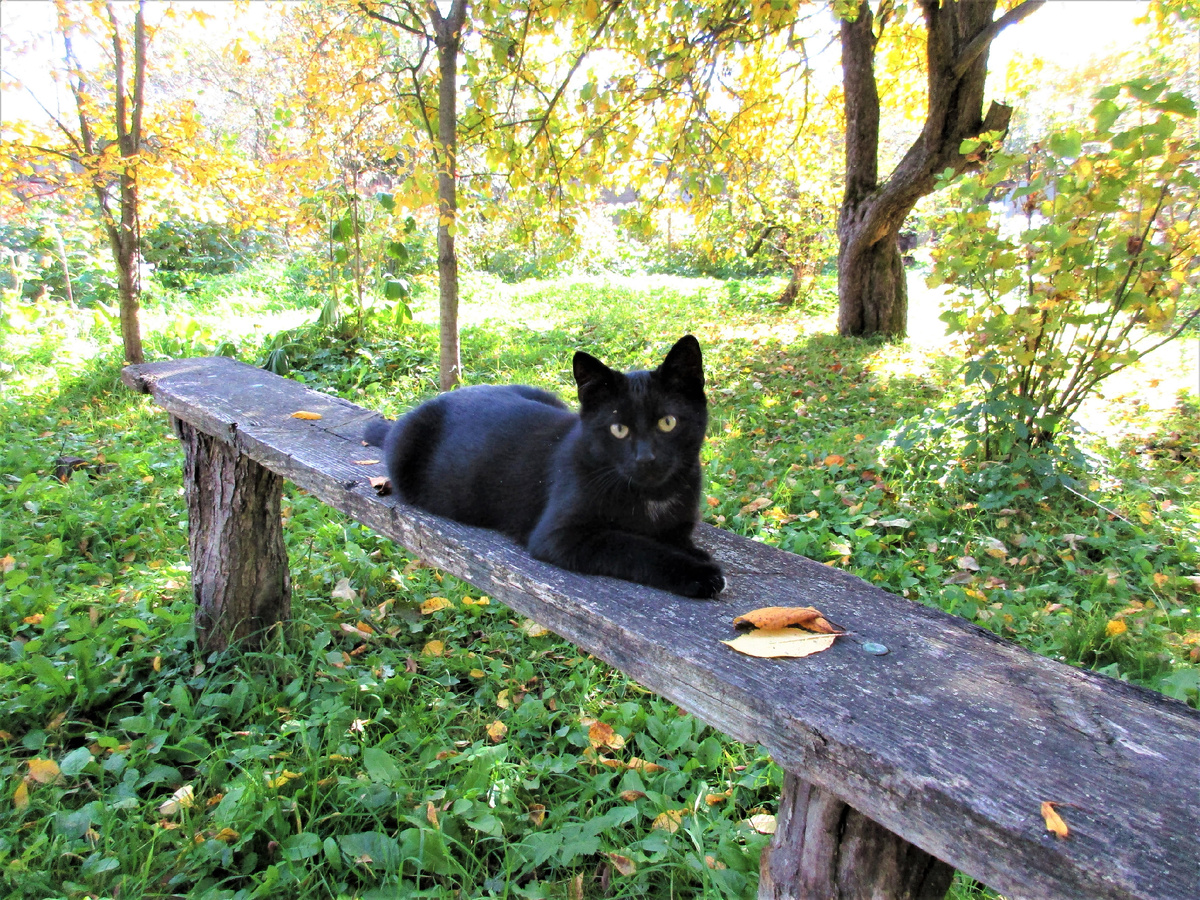 Фото автора