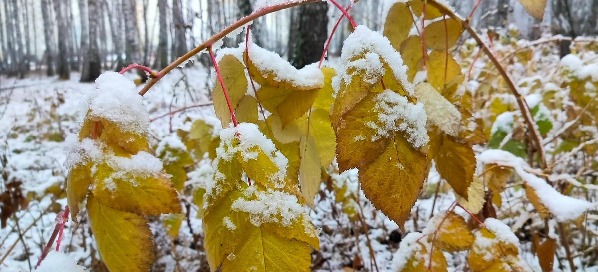 се, о чем вы просите Вселенную, дается вам, но вы мысленно должны позволить этому прийти в вашу жизнь, настроить свое сознание на то, что вы хотите получить. Эстер Хикс и Джерри Хикс