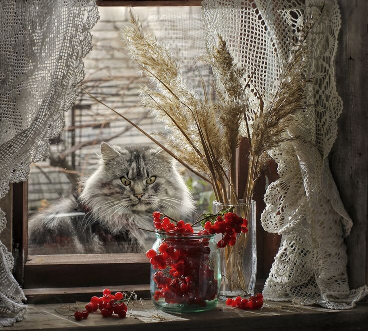 Картинка найдена на просторах интернета, ссылка https://yandex.ru/images/search?from=tabbar&img_url=https%3A%2F%2Fi.pinimg.com%2Foriginals%2Fa8%2F34%2F3f%2Fa8343f812879b5e7bd53274cf0591a19.jpg&lr=47&pos=15&rpt=simage&text=%D1%86%D0%B2%D0%B5%D1%82%D1%8B%20%D0%BA%D1%80%D1%83%D0%BF%DА0%BD%D0%BE%20%D1%84%D0%BE%D1%82%D0%BE